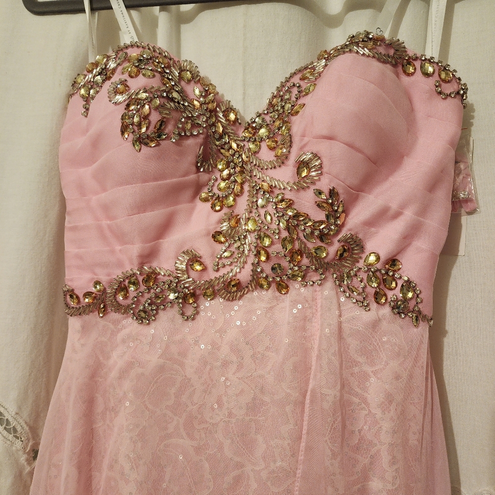 Bubble Gum Pink Formal Gown